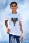 Elephant White