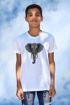 Elephant White