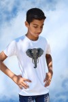 Elephant White